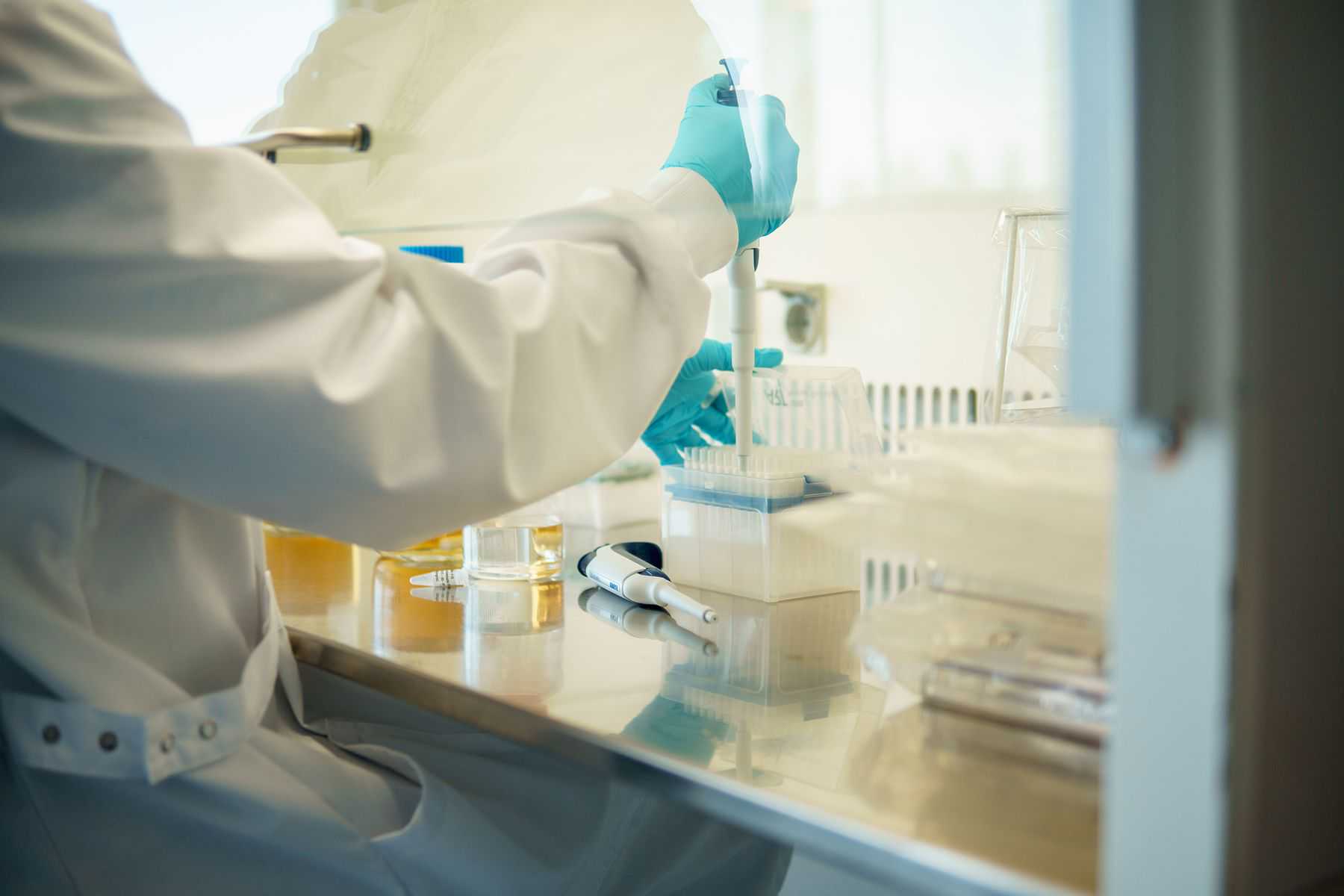 嘉峪关做一、二、三代代生哪里找价格表